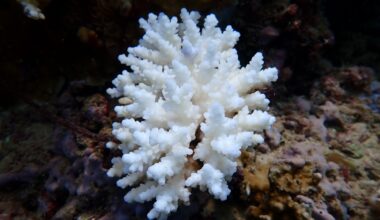 Climate change is costing the oceans far more than we thought