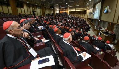 Pope Leo XIV to hold next consistory in June, hopes for annual meetings with cardinals