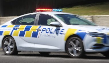 Auckland police arrest man after allegedly finding him with fake gun in city centre