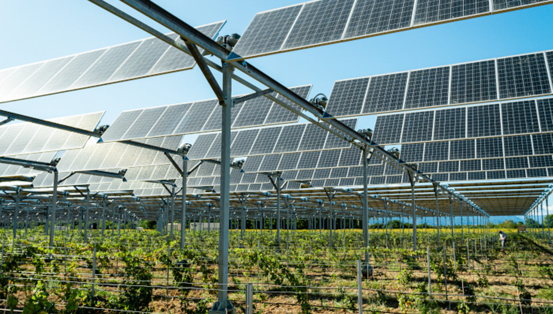 Agri-energy: A Q&A with author Rebekah Pierce