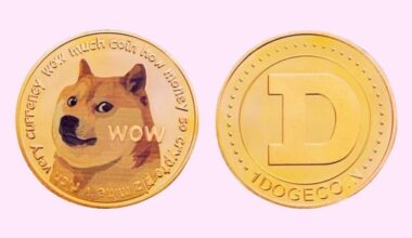 Dogecoin Rallies 9% In 24 Hours: What Is Going On?