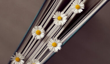 Countering violence through never-ending tales