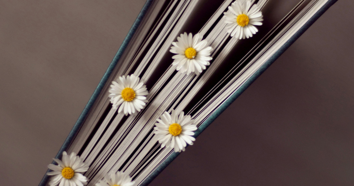 Countering violence through never-ending tales