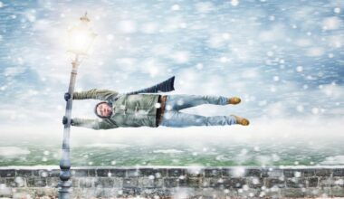 rare earths Greenland US