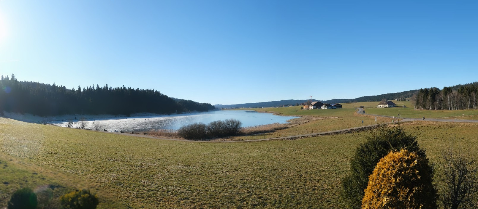 Paysage de campagne suisse avec un lac entouré de prairies et de forêts sous un ciel bleu clair.