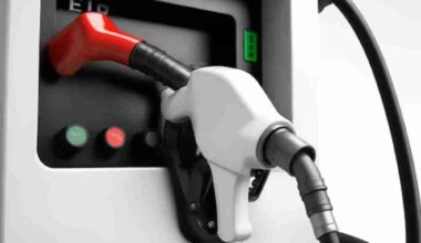 ViGo Bioenergy acquires Belgium’s Drive Systems to expand LNG network