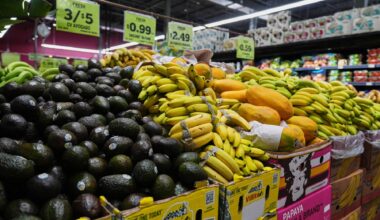 Federal judge blocks a Trump administration order that threatened SNAP in Colorado