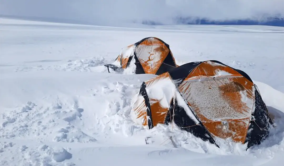 We experienced the warming of the Antarctic Peninsula