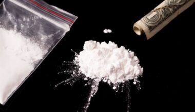 Majority of NZ drug and alcohol users experience no negative effects, study shows