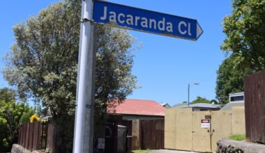 Accessible Properties Tauranga: 11 tenants move out after structural issues found