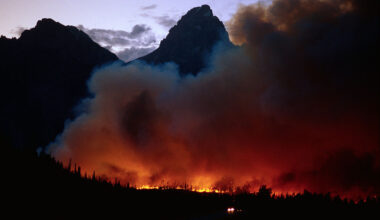 Capitalists Want You to Stop Worrying About Climate Change