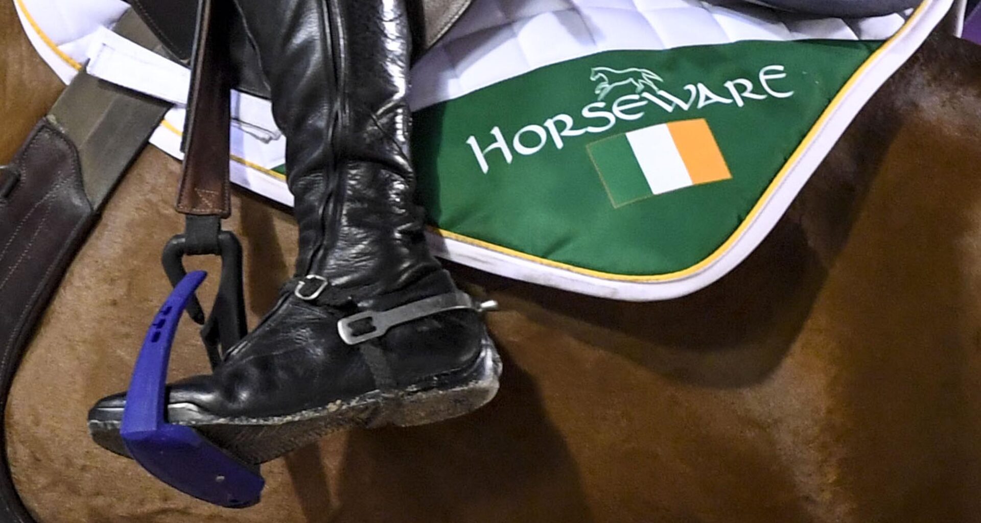 Irish showjumper Thomas Ryan to ride for Sweden