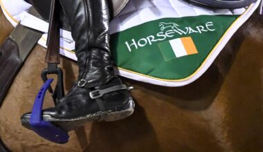 Irish showjumper Thomas Ryan to ride for Sweden