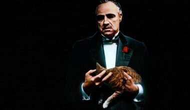 Kauza Česko Davida Ondráčky: Zrod politických kmotrů