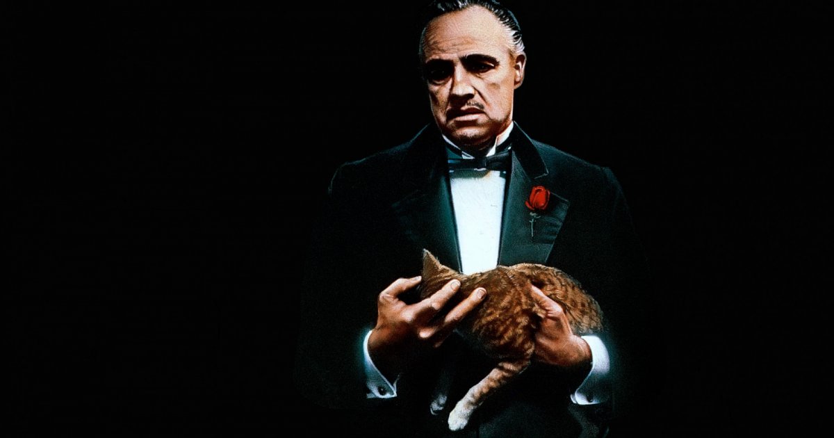 Kauza Česko Davida Ondráčky: Zrod politických kmotrů