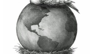 Cyprus, Greece, Israel, and the Ukraine Parallel