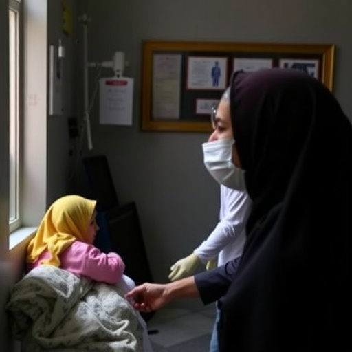 Healthcare Financial Strains Due to Migrants in Iran
