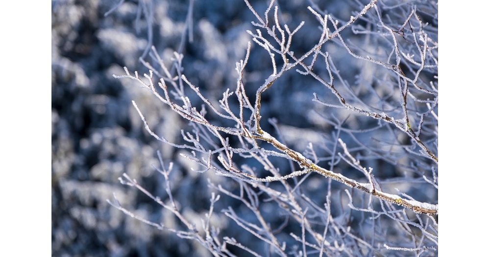 Жълт код за студ е обявен в 14 области в страната за 17 януари