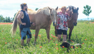 Slovensko stojí pred problémom jednogeneračných fariem bez kontinuity. Maková farma v Jarnej tento problém nemá
