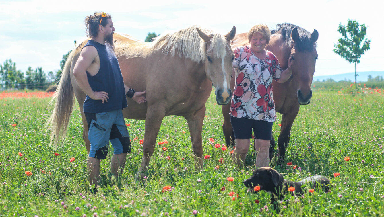 Slovensko stojí pred problémom jednogeneračných fariem bez kontinuity. Maková farma v Jarnej tento problém nemá