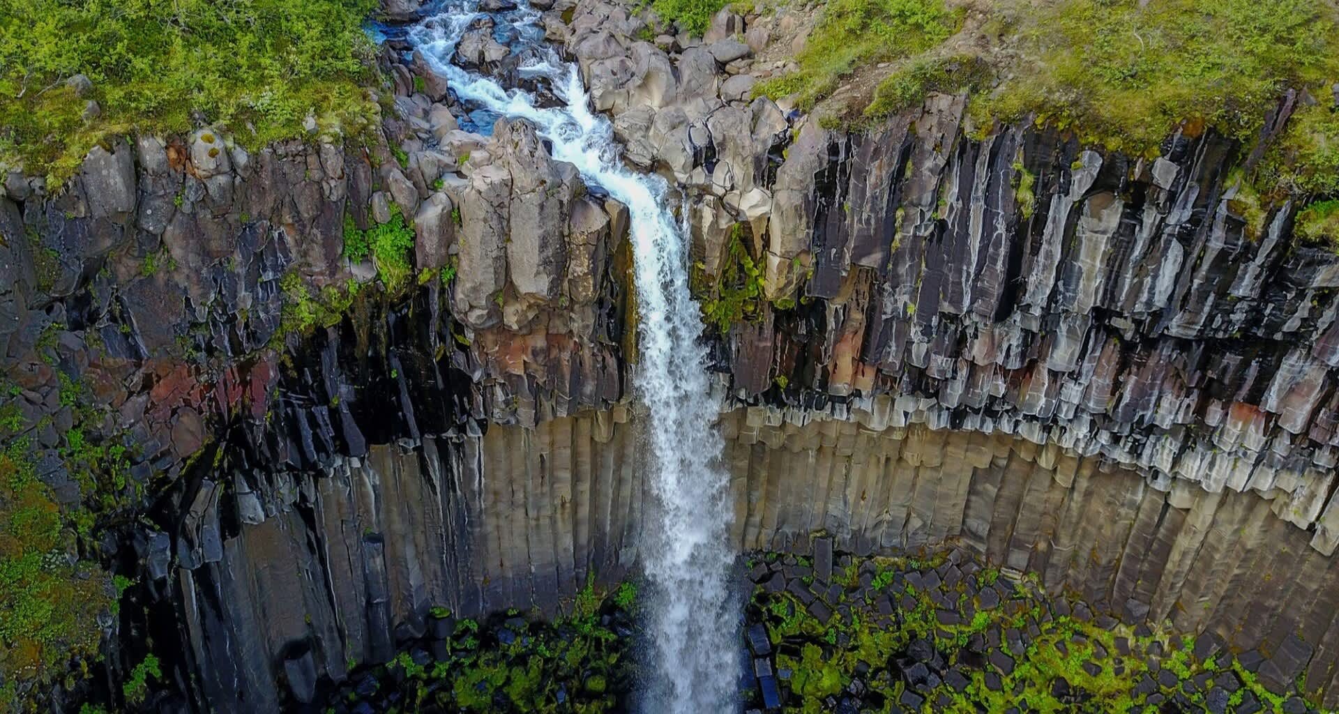 A TikTok clip sparked outrage over tourists' behavior in some of Iceland's most fragile natural spaces.