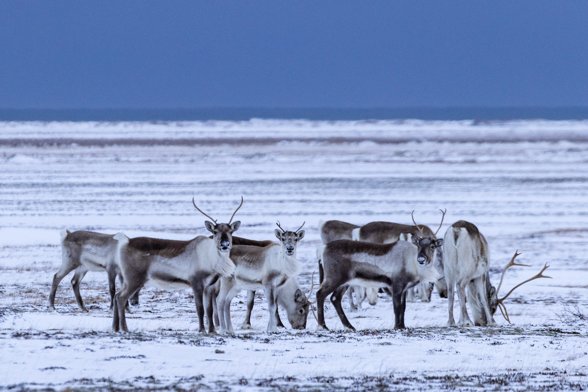 What Maine outdoors enthusiasts can discover in Iceland  