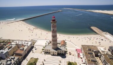 GNR seized almost a ton of fish