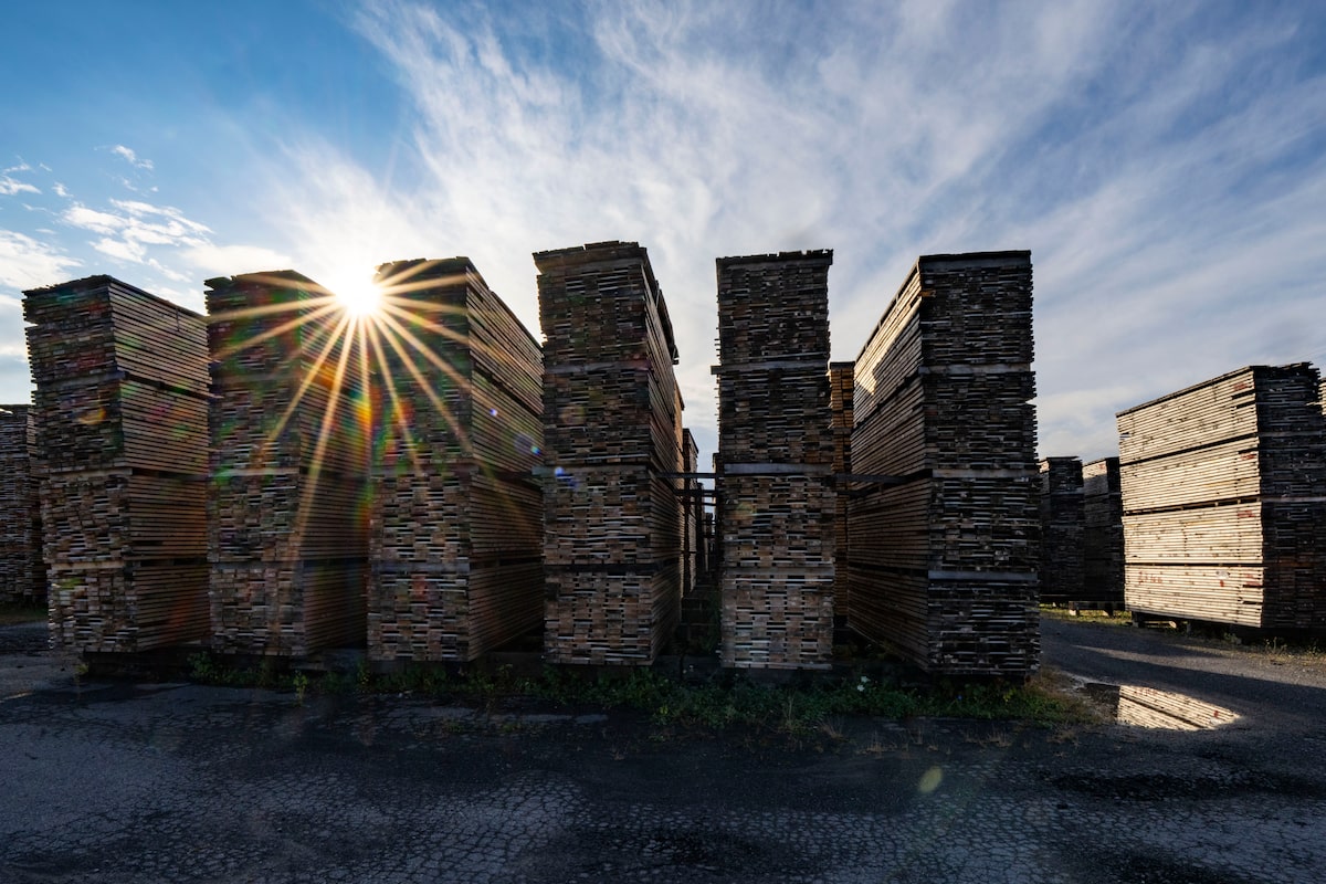 Nova Scotia responds to provinces accusing it of undermining Canada in softwood lumber dispute