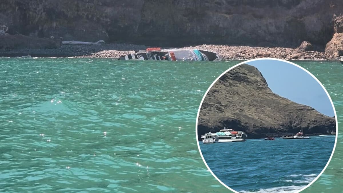 Black Cat cruise boat capsizes off Akaroa, dozens of passengers evacuated