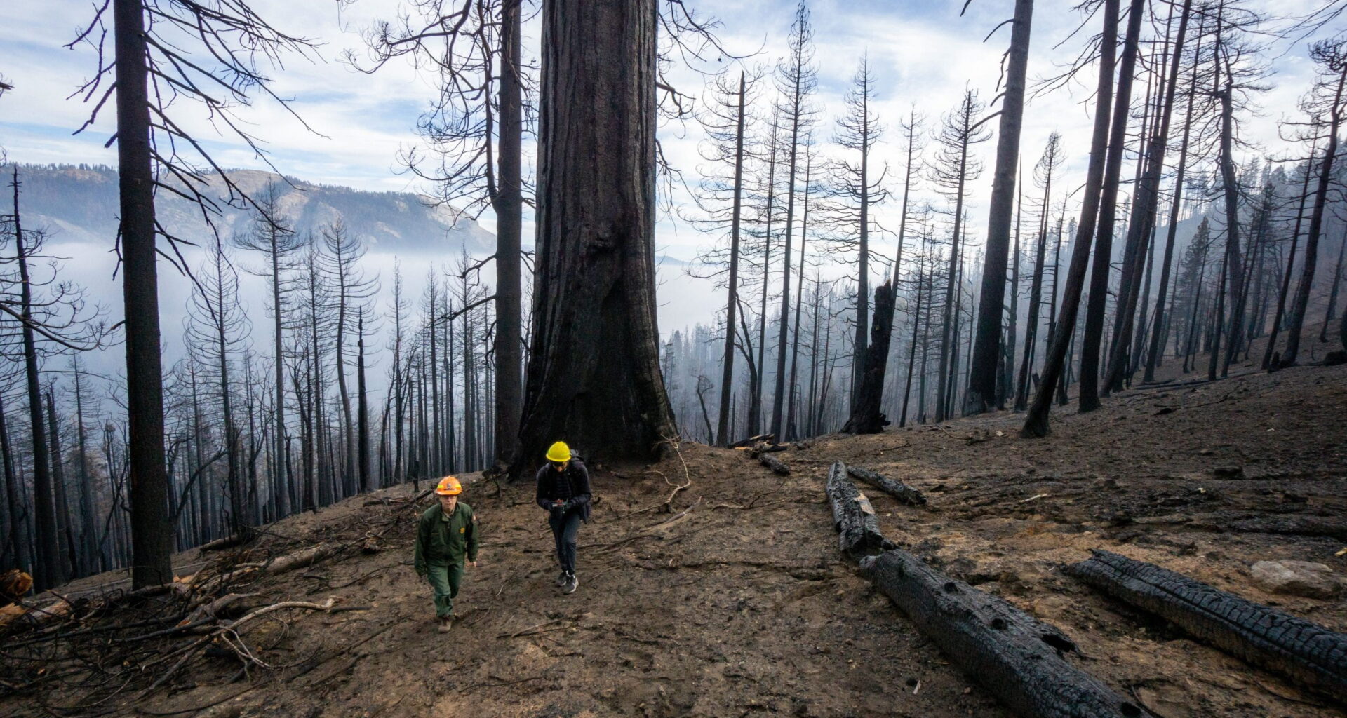 UC Irvine scientists discover what drives California’s worst fire years – UC Irvine News