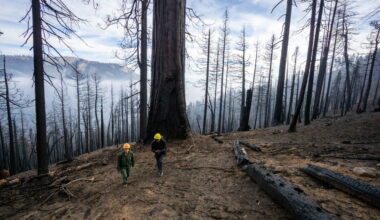 UC Irvine scientists discover what drives California’s worst fire years – UC Irvine News