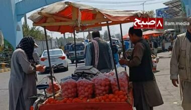 A street vendor sells fresh produce displayed in mesh bags at a Kabul market, where plastic bag use remains widespread despite growing environmental concerns among residents and experts. (Photo Credit: 8am.media)