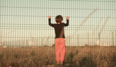 The Regulatory Review