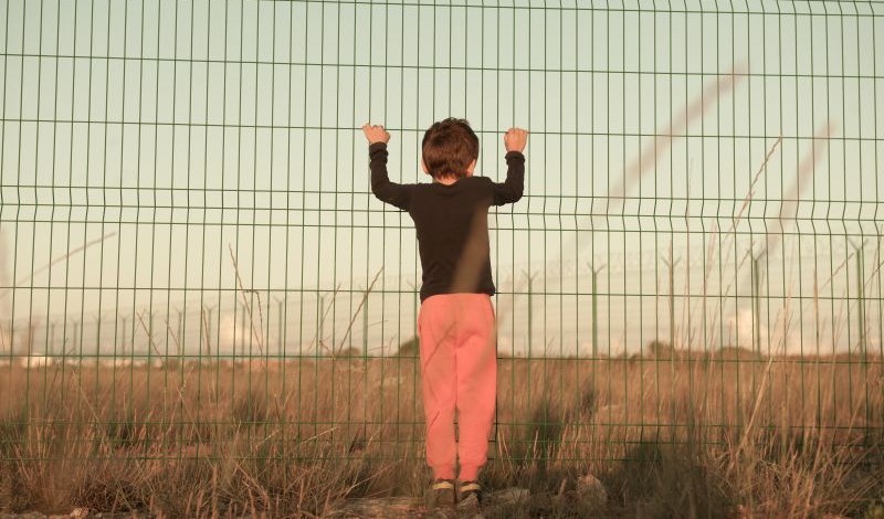 The Regulatory Review