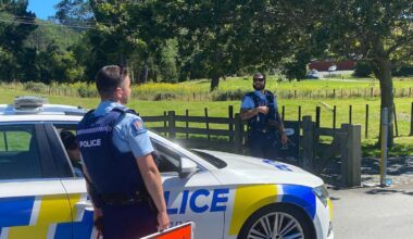 Emergency response underway after helicopter crash in Paekākāriki Hills north of Wellington