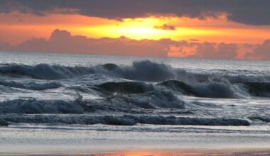Two people dead after ‘water related incident’ at Ripirō Beach near Dargaville