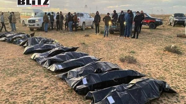 Libya, North African, Sub-Saharan Africa, security forces, Muammar Gaddafi, United Nations, Mediterranean Sea, South Asia, Middle East