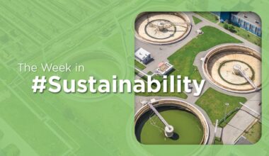 Environmental Enforcement and Sustainable Investment