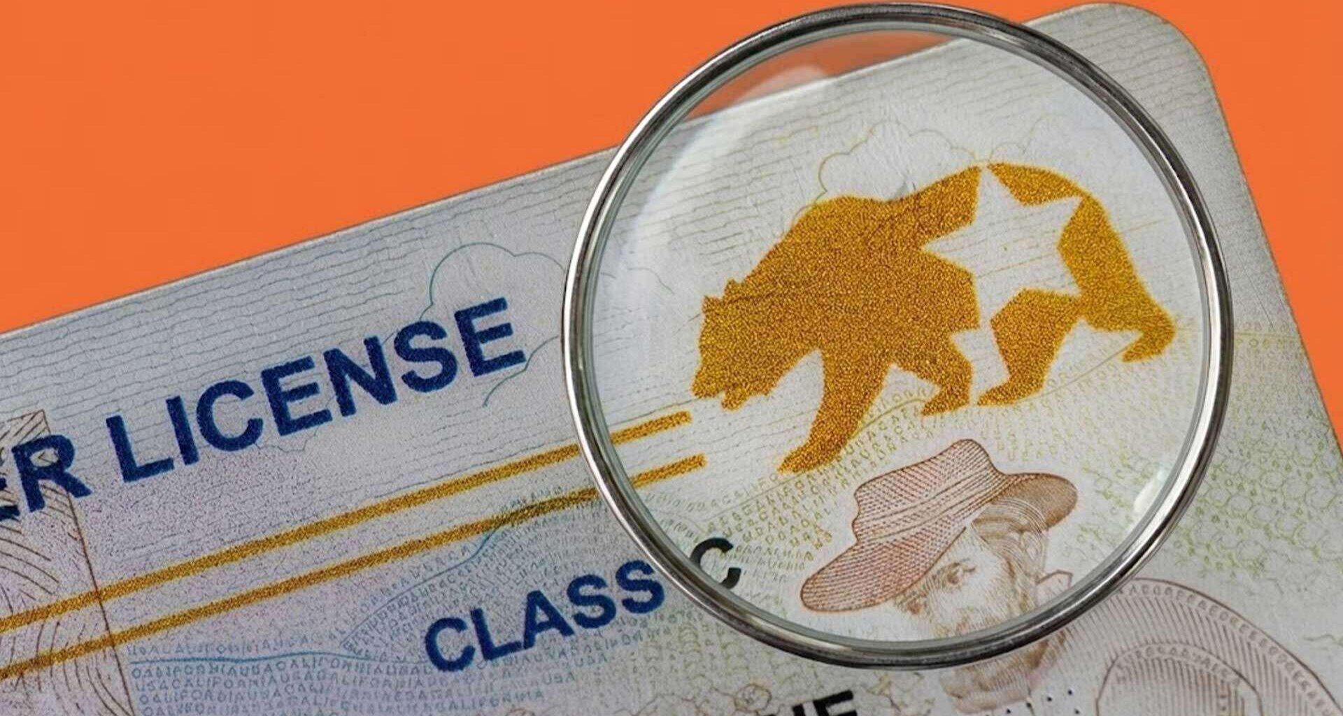 DHS Says REAL ID, Which DHS Certifies, Is Too Unreliable To Confirm U.S. Citizenship