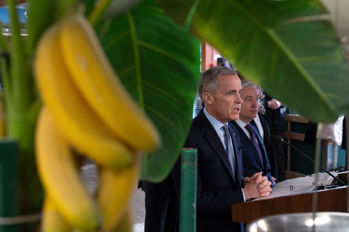 GST credit top-up: What is the Canada Groceries and Essentials Benefit and who qualifies?