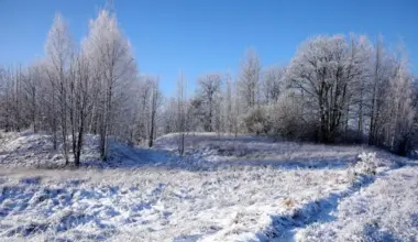 Nākamnedēļ Latvijā atgriezīsies sals un pieaugs sniega segas biezums
