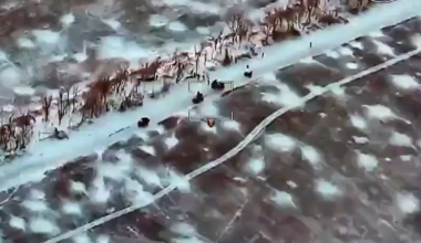 Ukrainian drones attacking a Russian mechanized group assembling to head for Pokrovsk, and additional footage of drones attacking Russian troops in the southeast outskirts of the town (Published Jan 2, 2026)