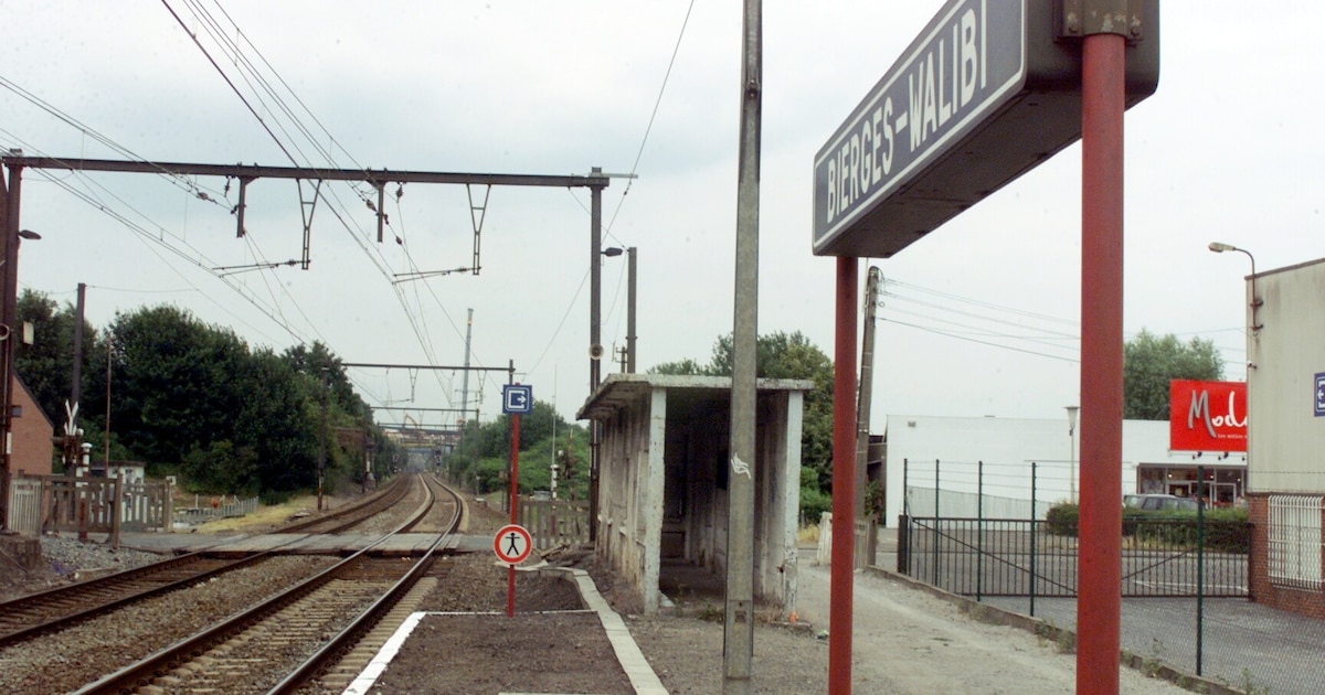 Bonne nouvelle pour les voyageurs à mobilité réduite : La SNCB étend l'assistance à 24 gares supplémentaires
