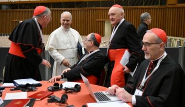 Pope Leo XIV with cardinals at the consistory of January 2026.