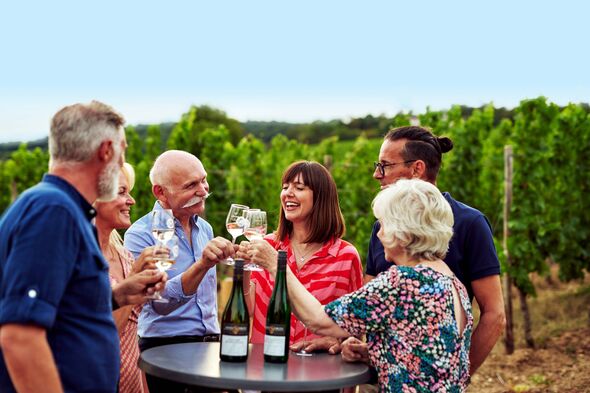 People giving cheers on a holiday. People giving cheers on a holiday.