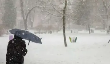 Piektdien Latvijā turpināsies sniegputenis, vietām sniega segas pieaugums līdz 8 cm