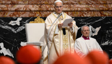 Cardinals focus talks with Pope Leo on evangelisation and synodality, deferring liturgy and curia reform