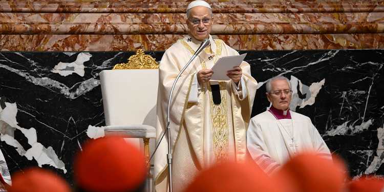 Cardinals focus talks with Pope Leo on evangelisation and synodality, deferring liturgy and curia reform
