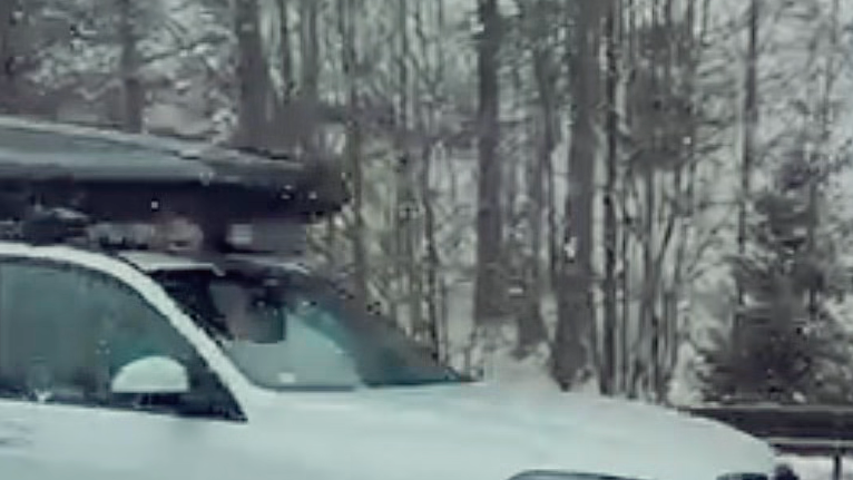 Slovensko bojuje s kalamitou: Polícia vyzýva na opatrnosť, sneženie komplikuje TIETO cesty!