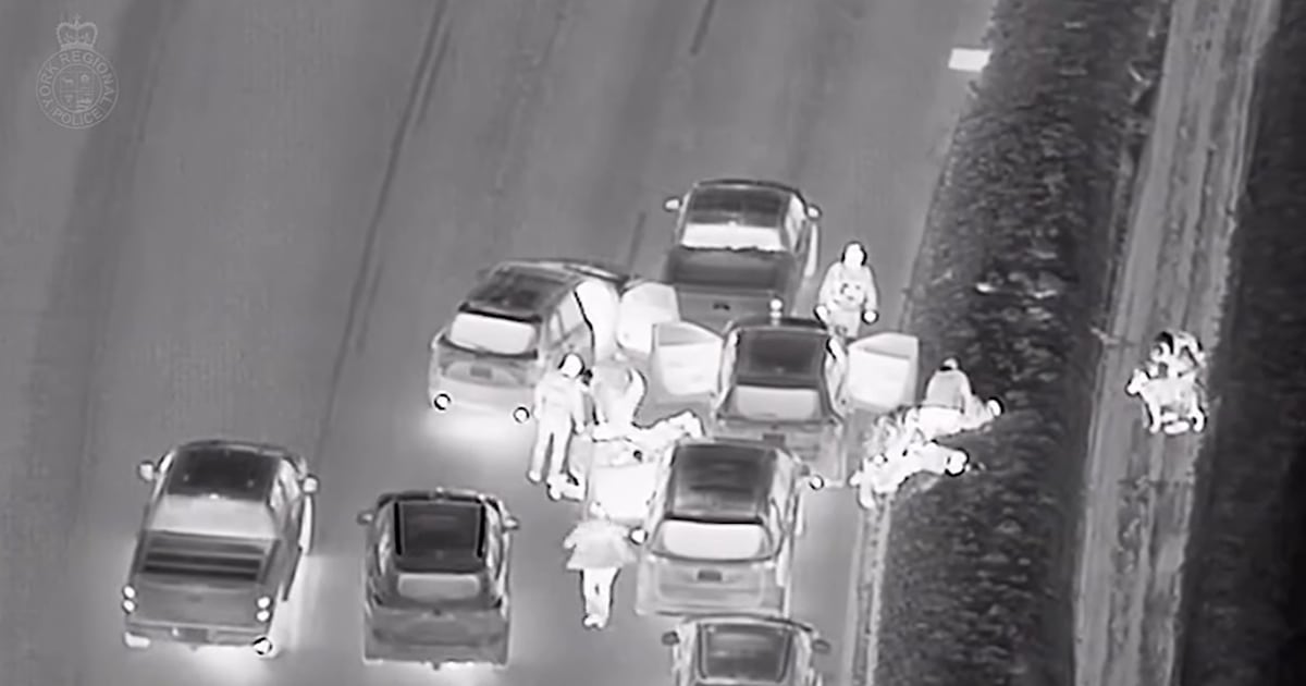 Video shows arrest of suspects